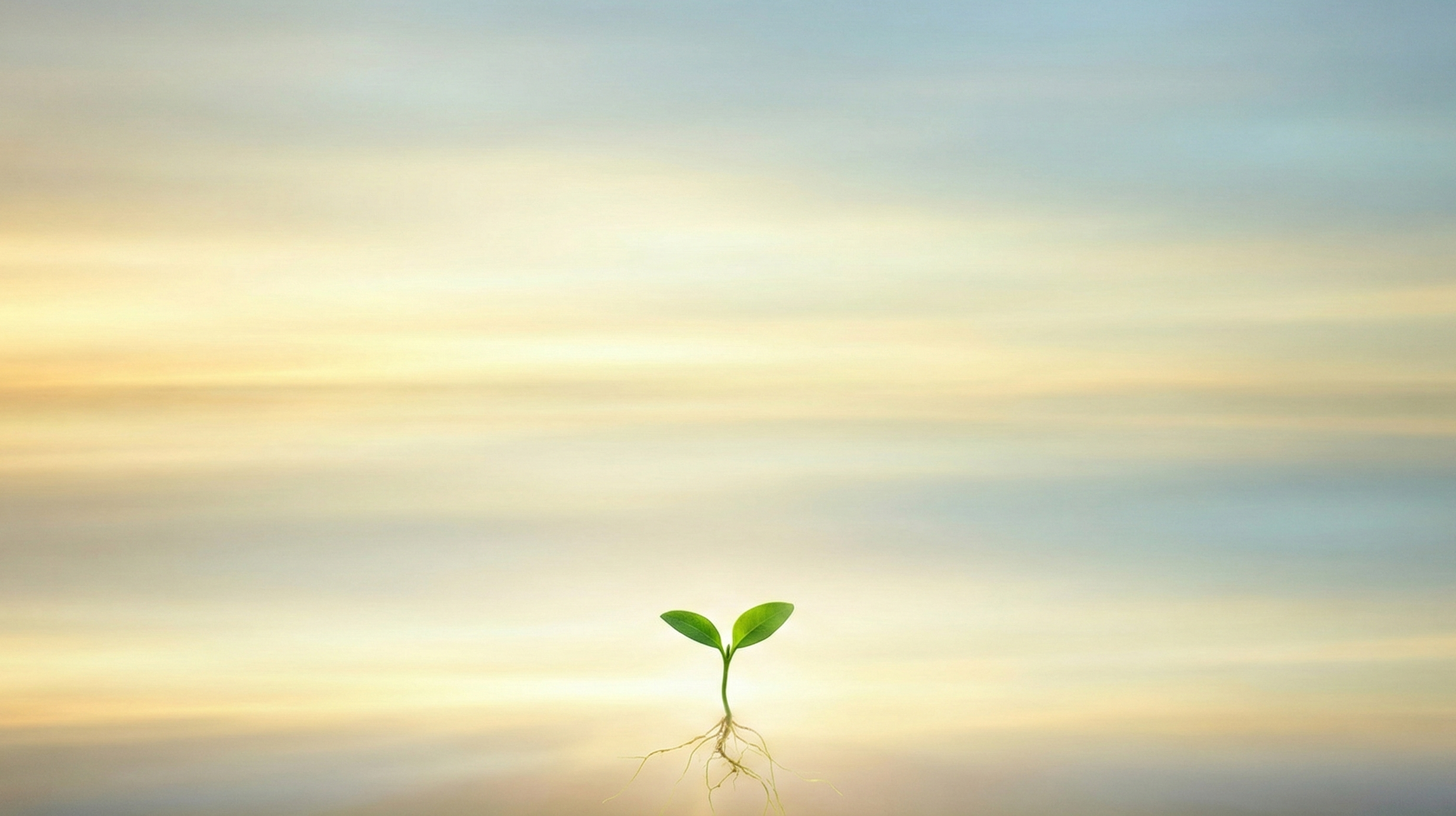 Luminous depth with infinite layers of light and a single seedling rooted at the threshold, symbolizing new growth in unimaginable possibility.