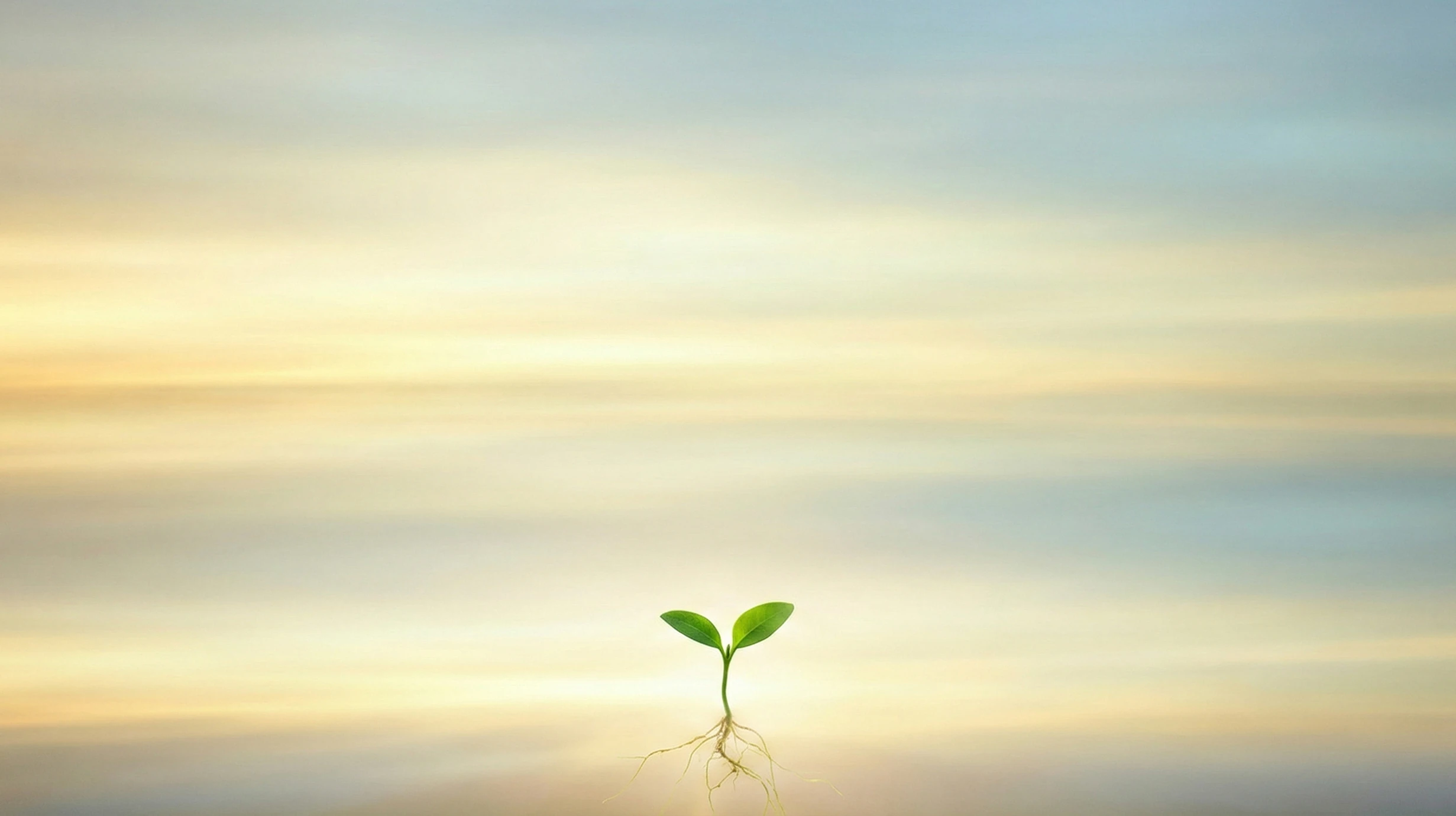 Luminous depth with infinite layers of light and a single seedling rooted at the threshold, symbolizing new growth in unimaginable possibility.